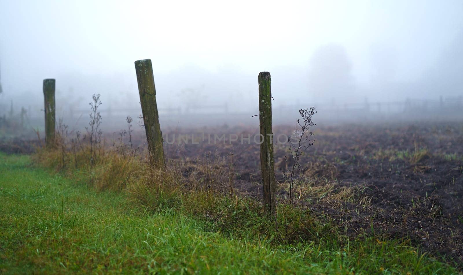 Beautiful black earth fields of Ukraine. Agricultural rural landscape, vegetable garden in autumn. Plowed dark earth and green grass at the end of the harvest season. by aprilphoto