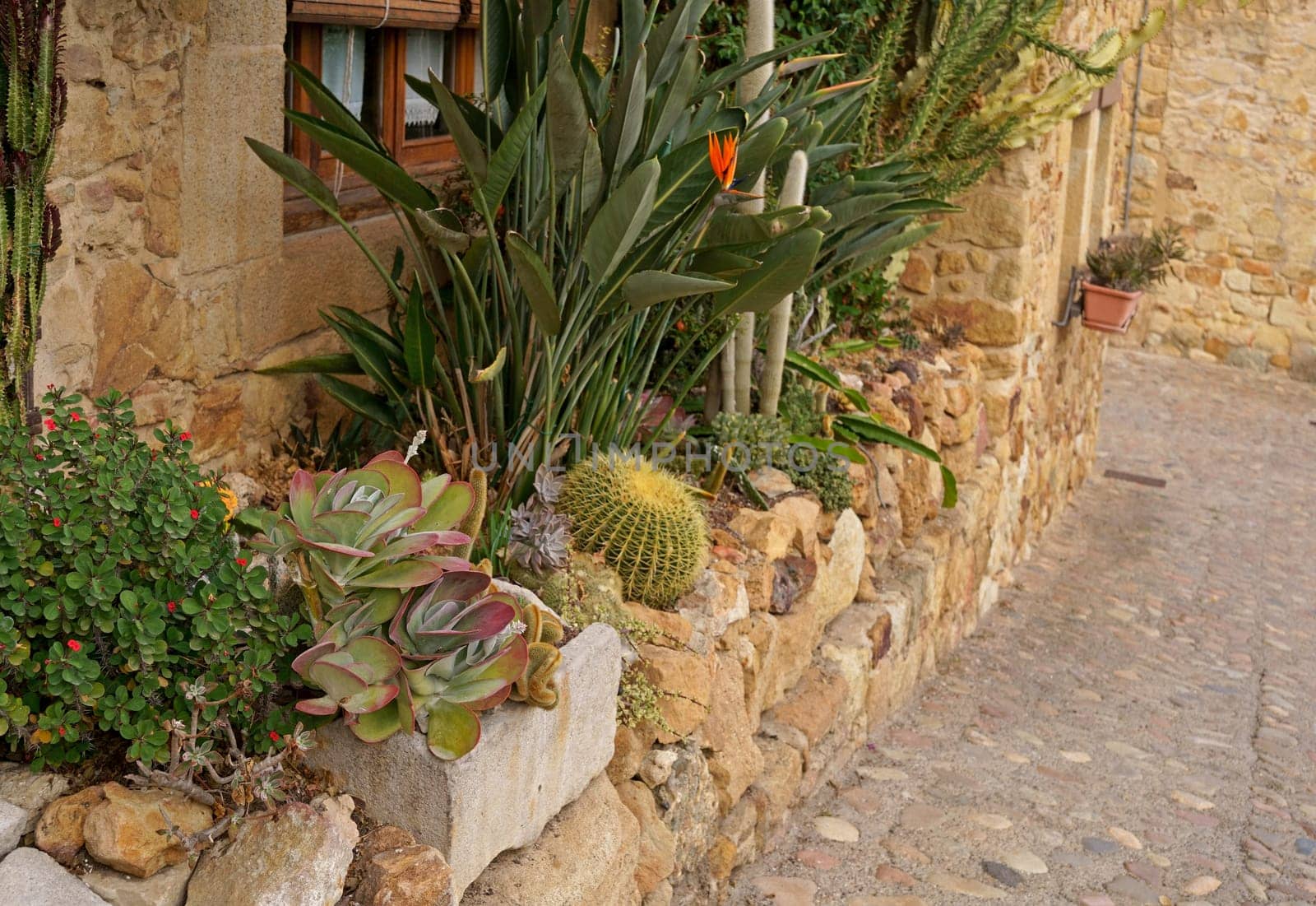 Catalonia. Old village in Spain. Many flowers decorate the street. Typical village with beautiful stone houses. by aprilphoto