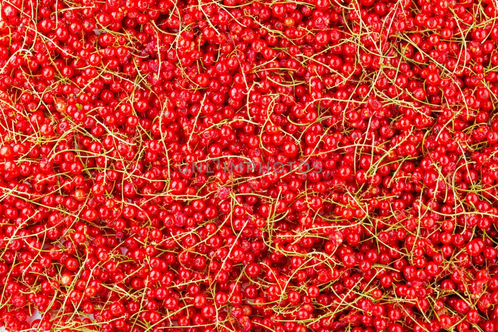 full-frame background and texture of red currants pile in high angle view.