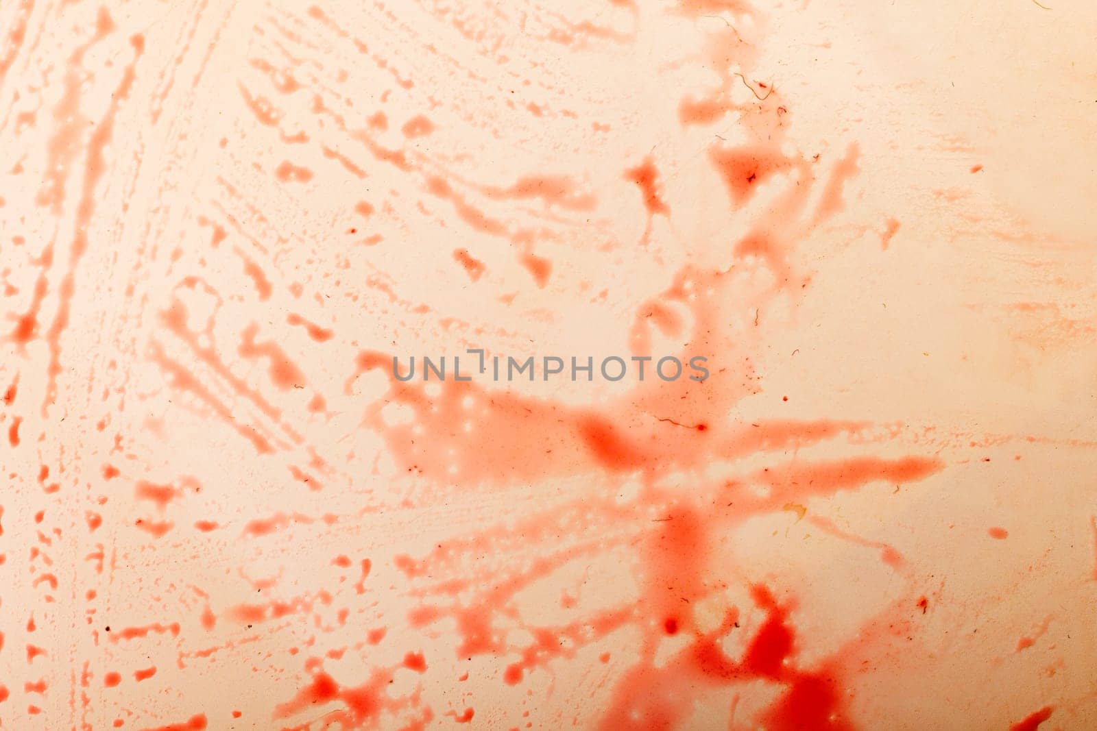 red currant juice on white background looks like a blood splashes by z1b