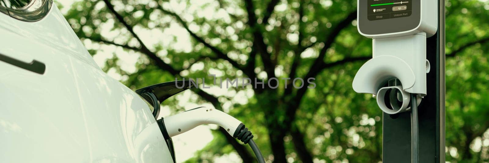 Panorama banner EV electric vehicle recharging battery from EV charging station in national park or outdoor forest scenic. Natural protection with eco friendly EV car travel in the summer woods. Exalt