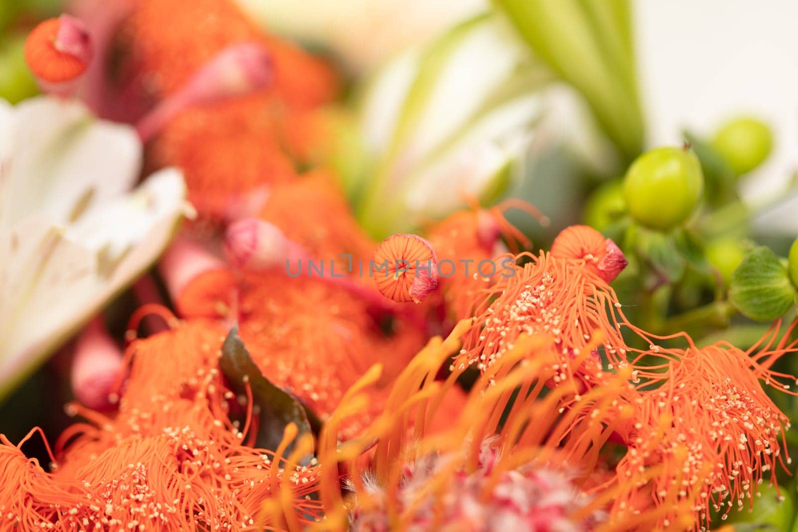 Australian table decorations and flowers for Christmas for a large family gathering