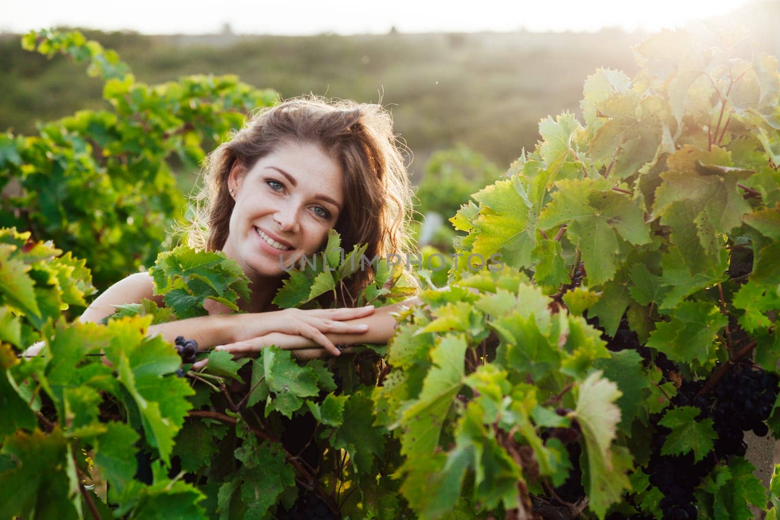 brown-haired woman in a vineyard at sunset