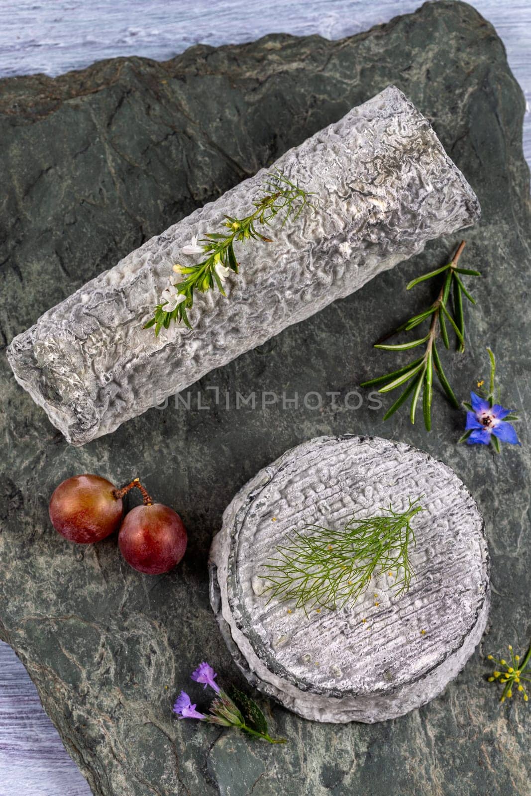 piece of French ash coated goats cheese close up by JPC-PROD