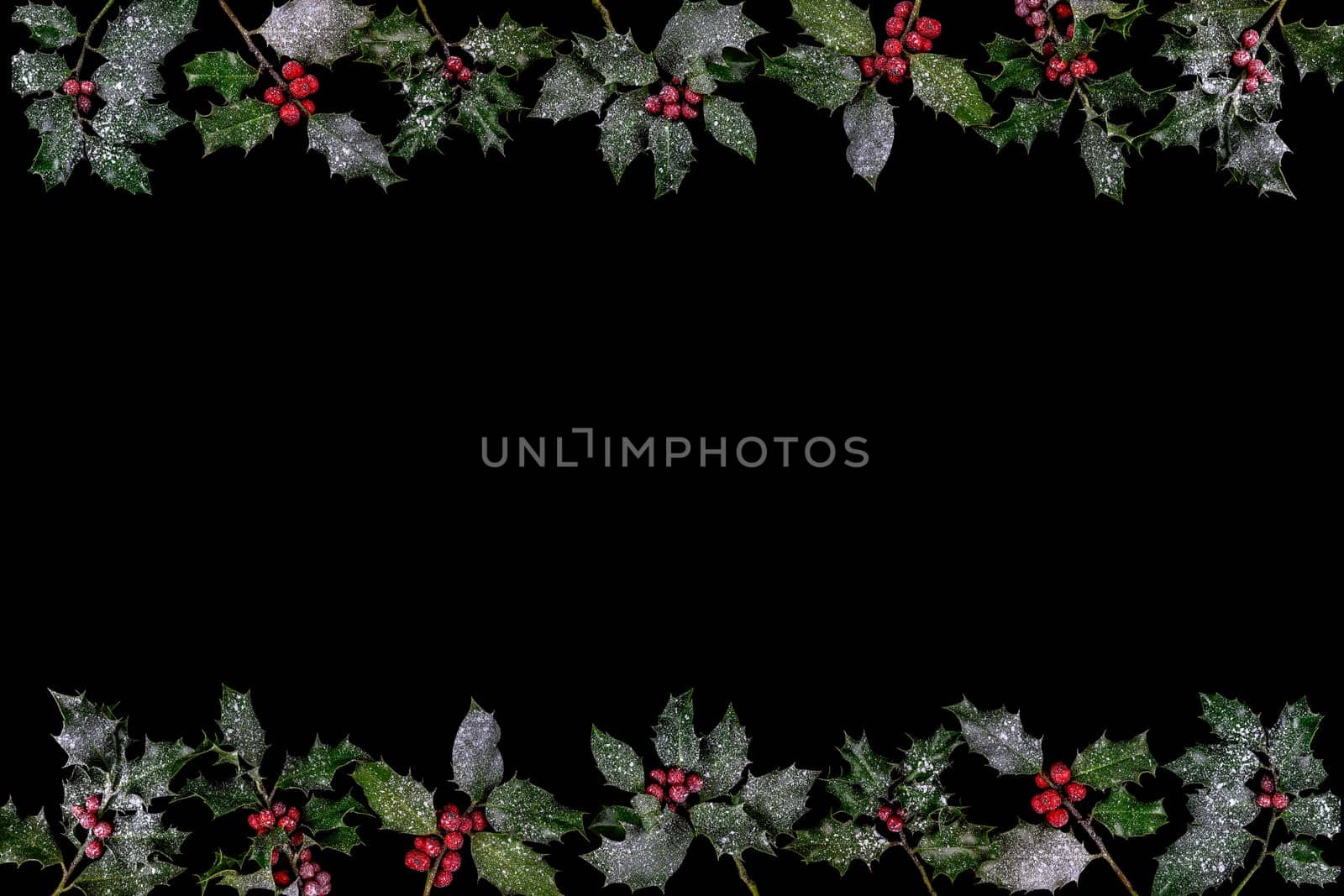 Christmas winter greenery and holly berry abstract background border on white. Traditional flora design element for greeting card, gift tag, label, menu, invitation. by JPC-PROD