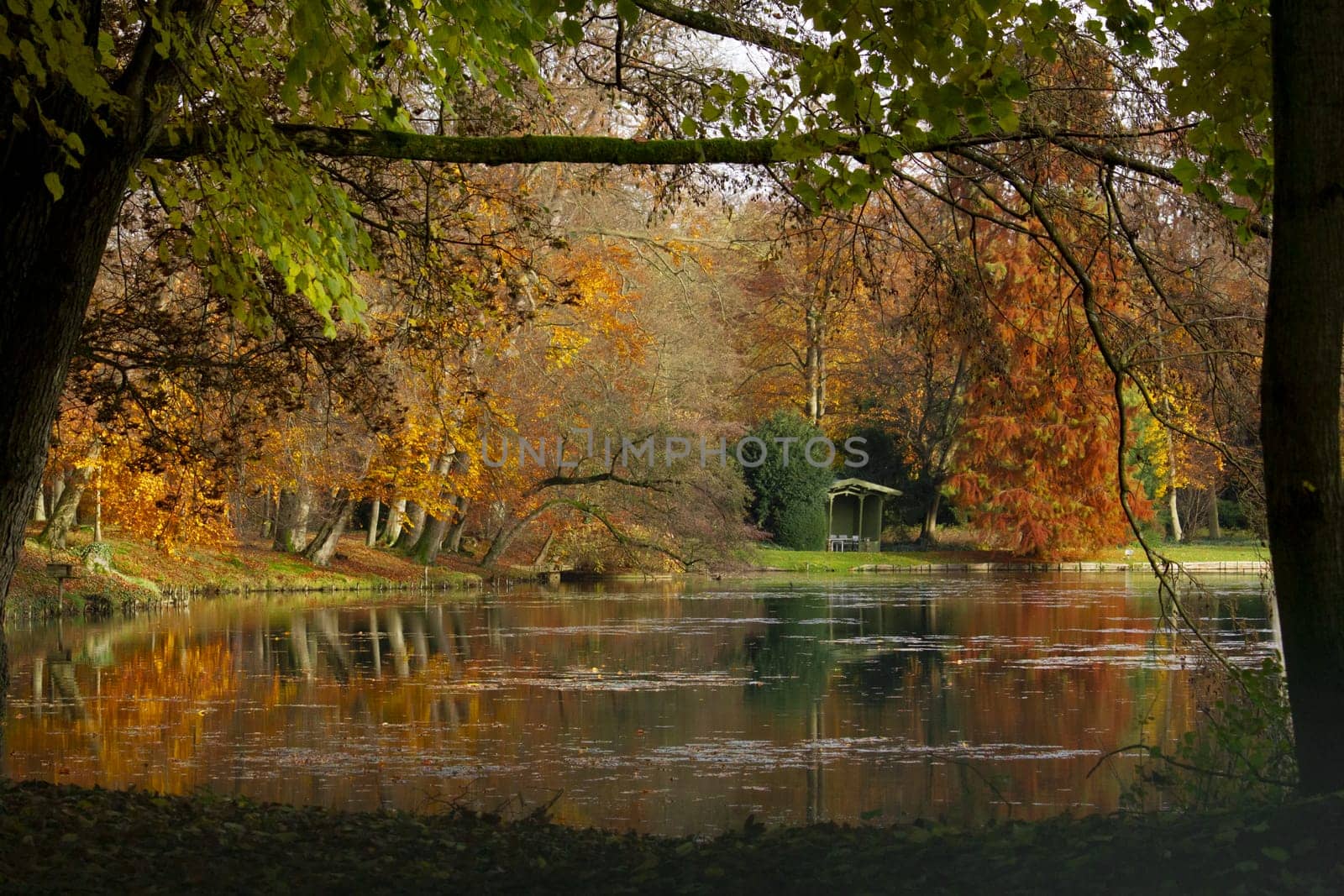 Picturesque autumn scenery with gazebo on the lake shore and colorful trees. High quality photo
