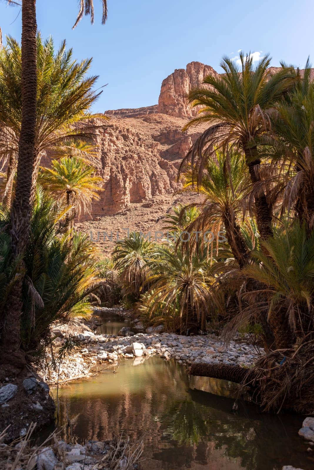 Magnificent oasis in the Ait Mansour gorge in the Anti-Atlas mountains, Morocco