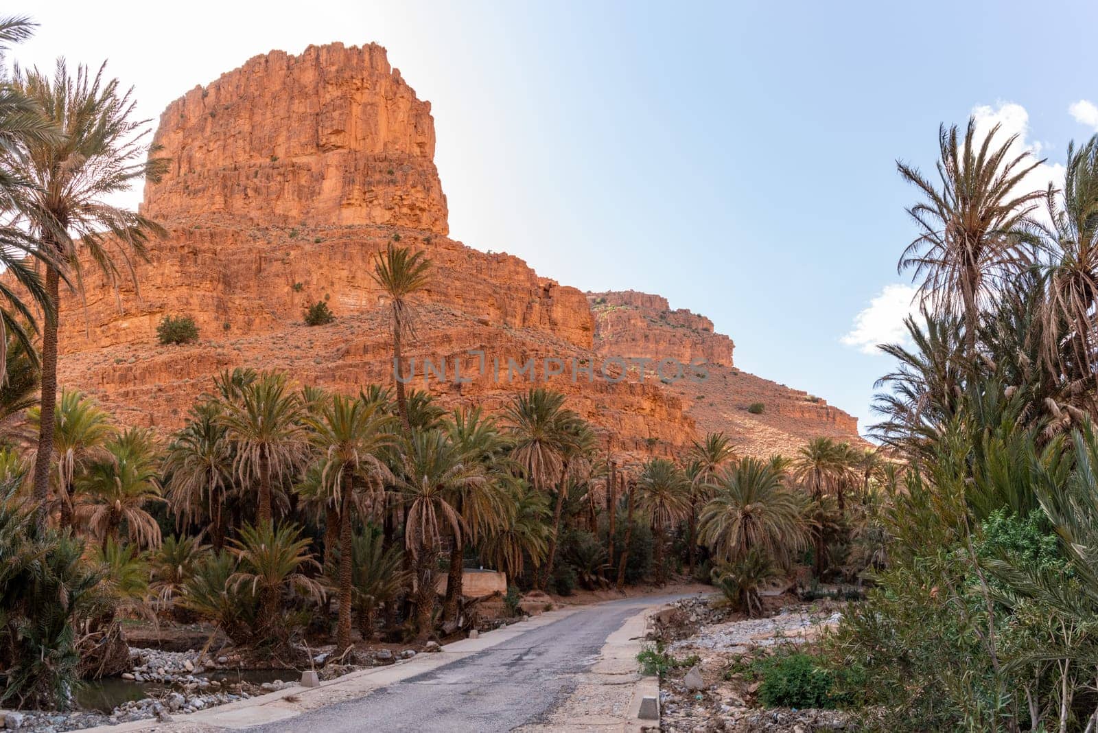 Magnificent oasis in the Ait Mansour gorge in the Anti-Atlas mountains, Morocco