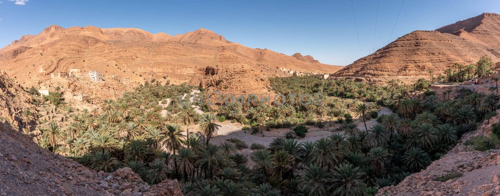 Magnificent oasis in the Ait Mansour gorge in the Anti-Atlas mountains, Morocco