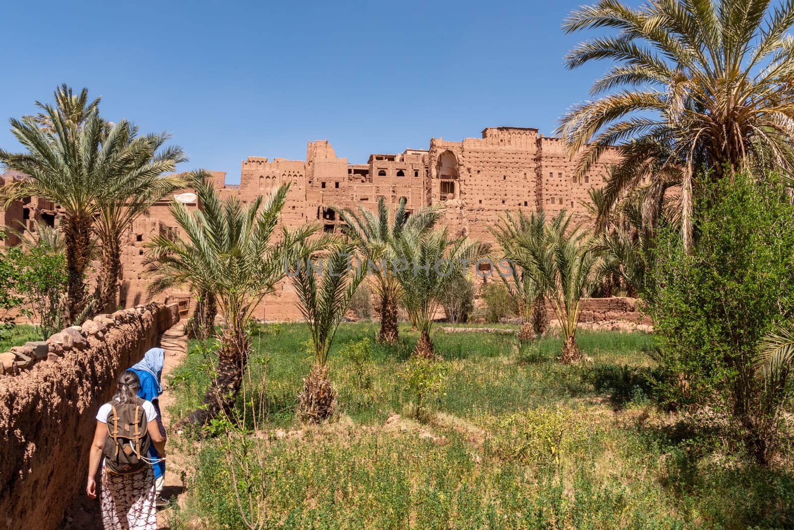 Farmland in front of the scenic berber village Tamenougalt in the Draa valley, a tourist being led by a berber to the village, Morocco