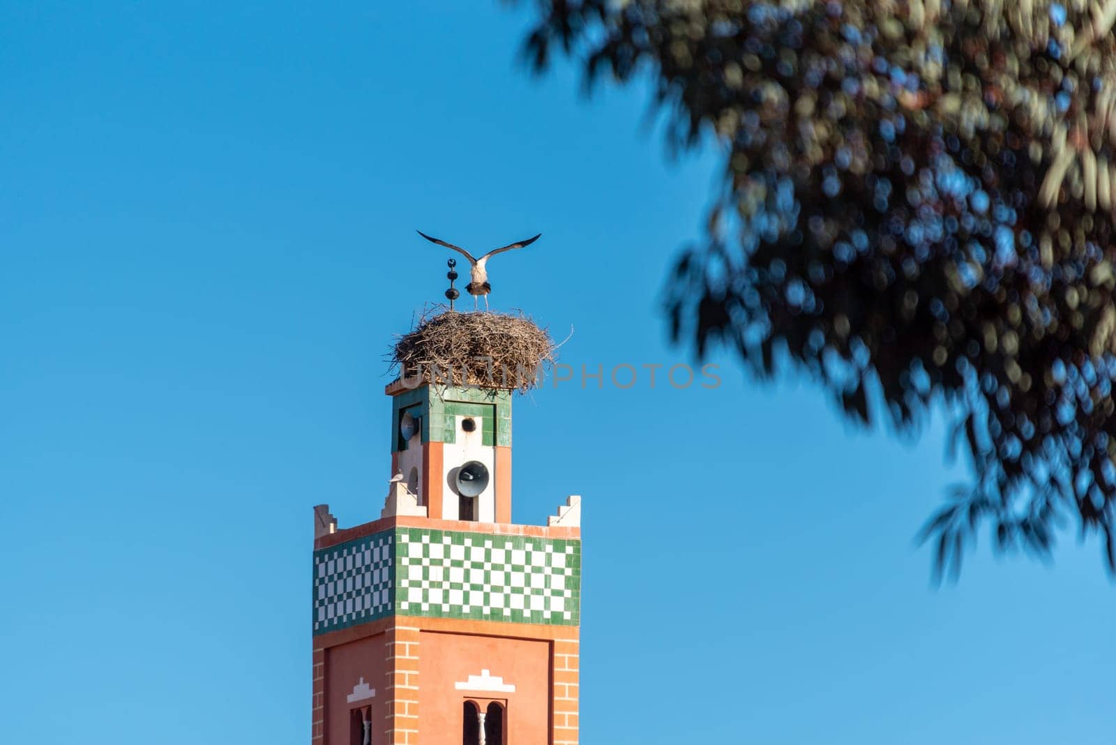 Two birds in their nest on a minaret of a Moroccan mosque in Ouarzazate