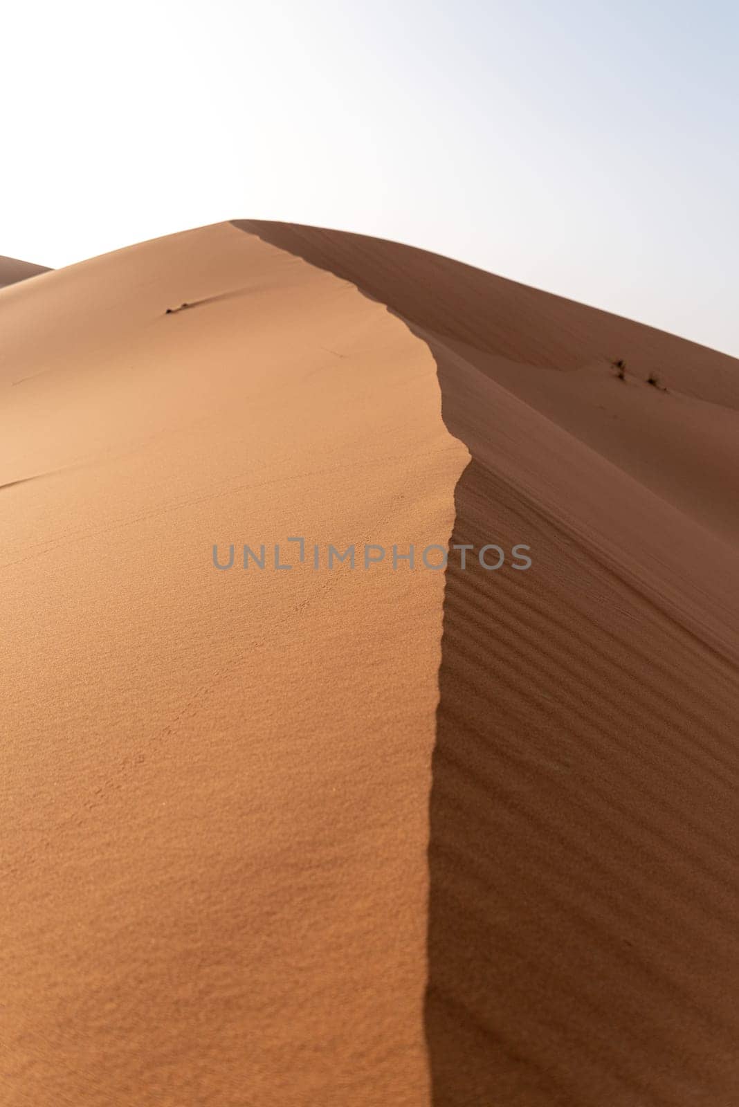 Picturesque dune in the Erg Chebbi desert, part of the African Sahara, Morocco
