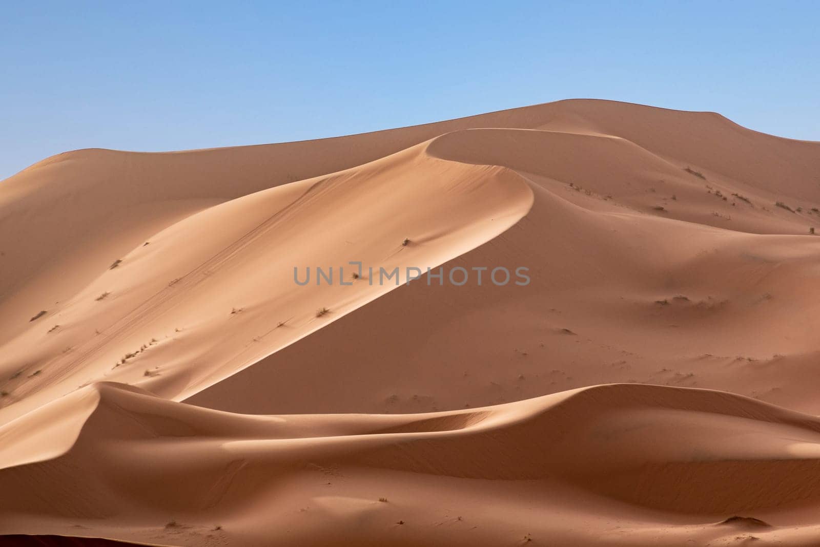 Picturesque dunes in the Erg Chebbi desert, part of the African Sahara, Morocco