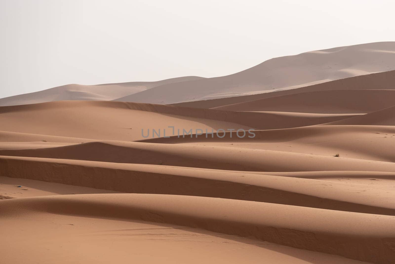 Picturesque dunes in the Erg Chebbi desert, part of the African Sahara, Morocco