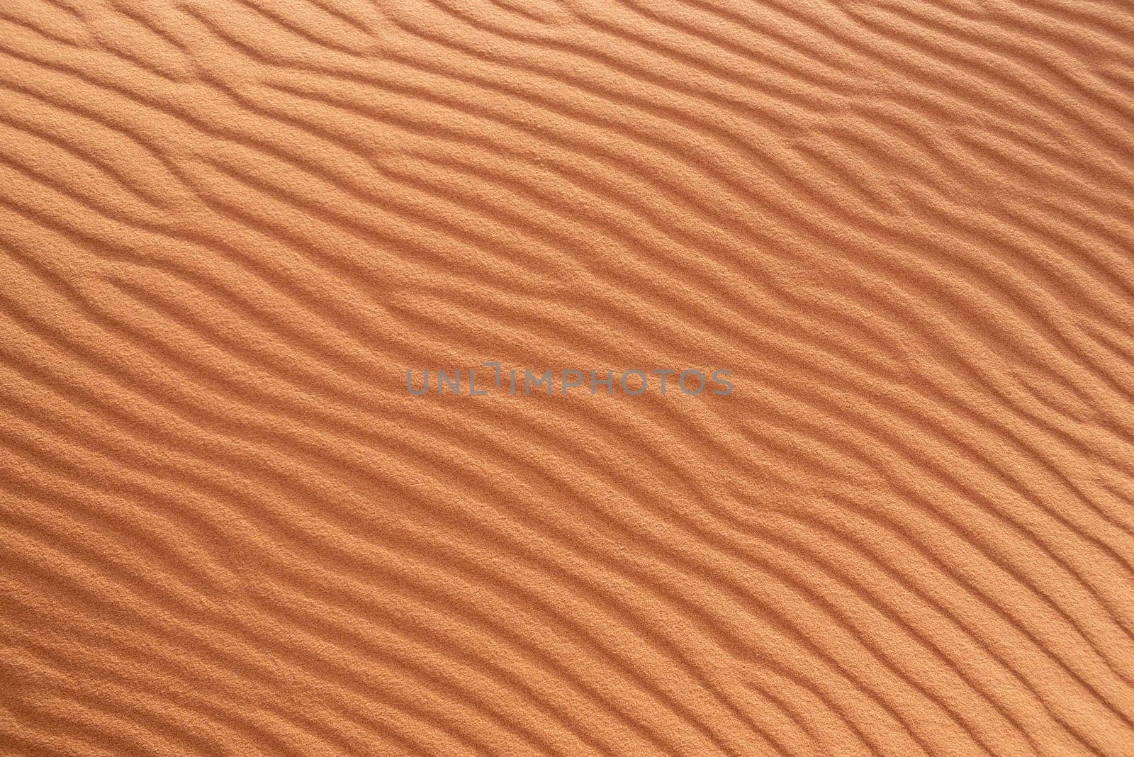 Scenic sand pattern on a desert's dune, drawn from the wind, Morocco