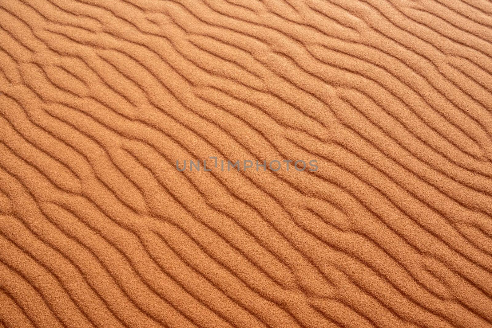 Scenic sand pattern on a desert's dune, drawn from the wind, Morocco