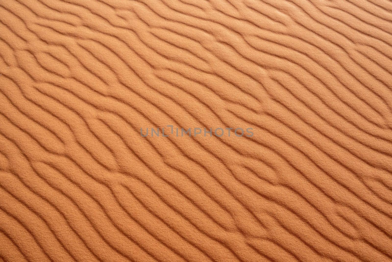 Scenic sand pattern on a desert's dune, drawn from the wind, Morocco