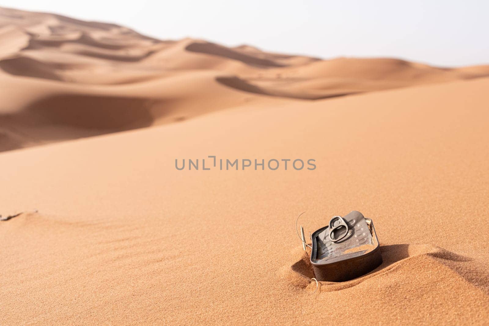 A fish tin left behind, polluting the Sahara desert, Morocco