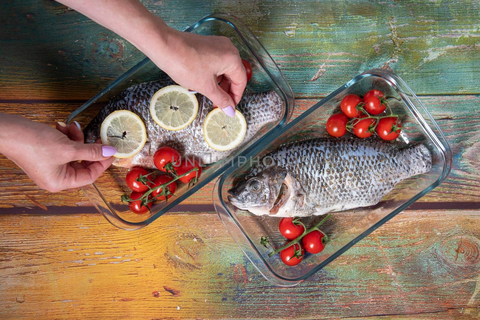 female hand puts lemon slices on fresh tasty raw fish tilapia or dorado before baking in the oven with vegetables and spices, on old green wood, top view, high quality photo