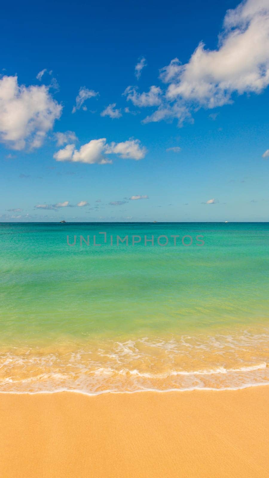 Barbados Island's Sandy Paradise Beach, Caribbean Island