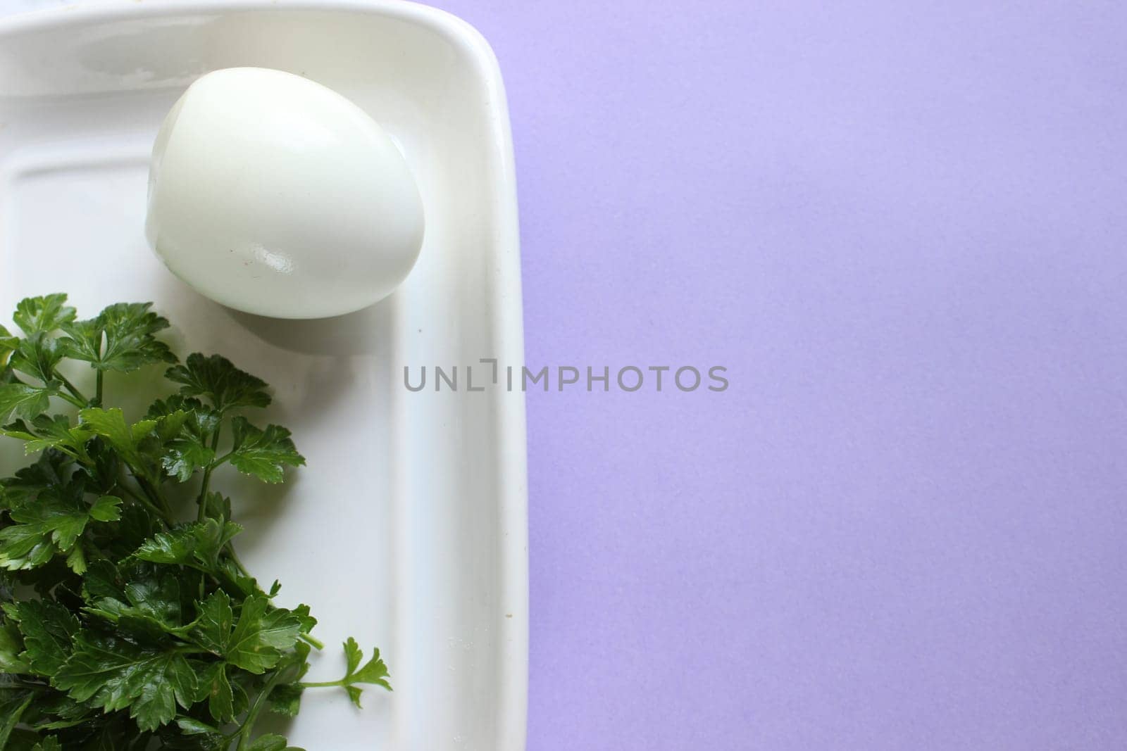 Boiled chicken egg and parsley on a purple pink background. High quality photo