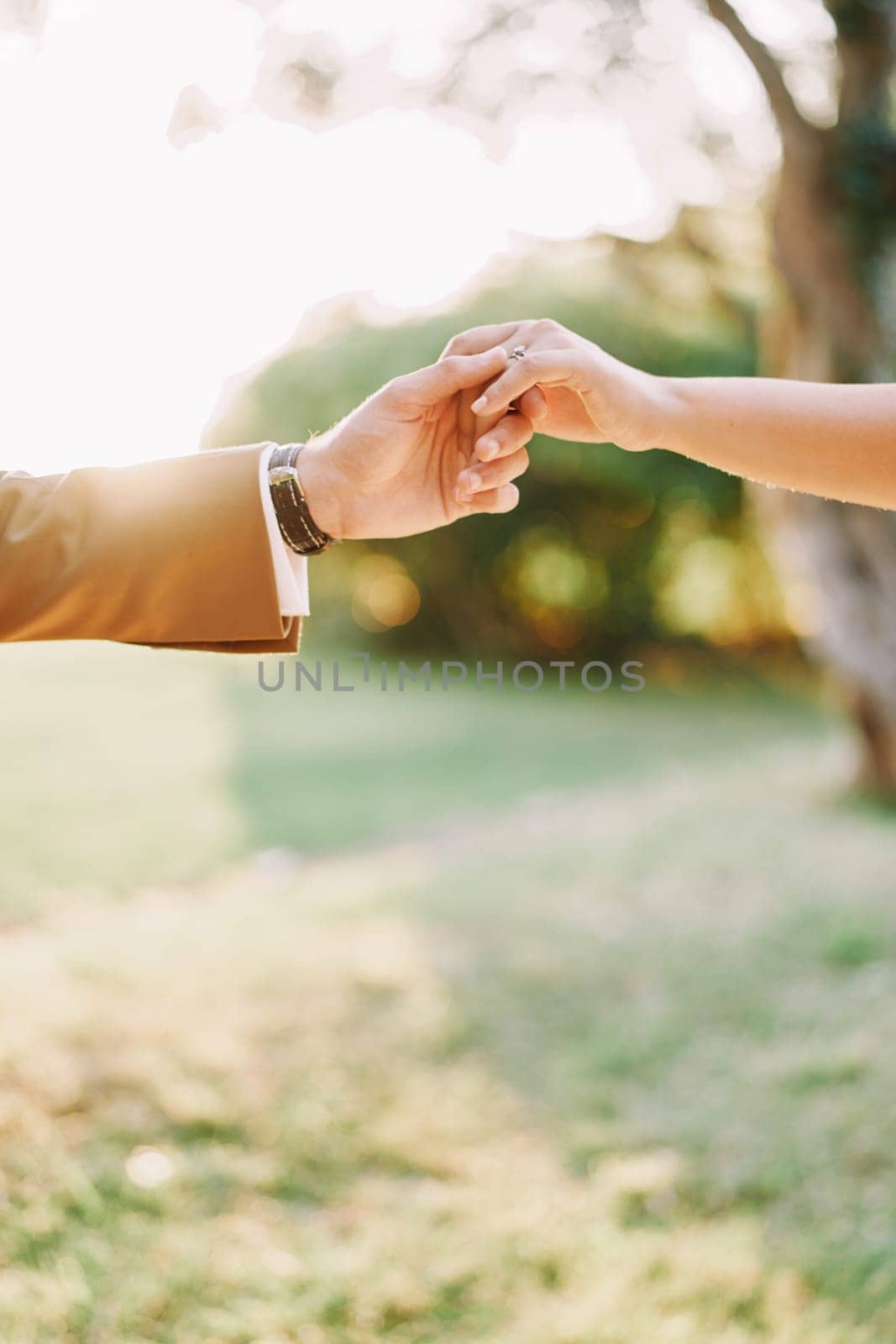 Groom holds bride hand while standing in a sunny park. Cropped. Faceless by Nadtochiy