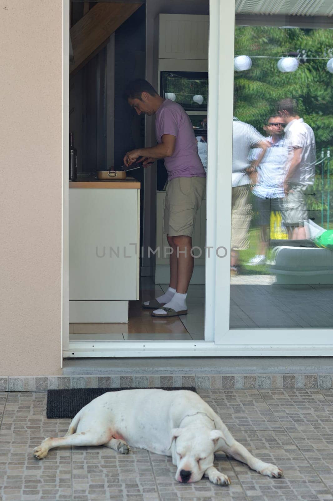 Dogo Argentino sleeps in the yard and the owner cooks in the kitchen by Godi