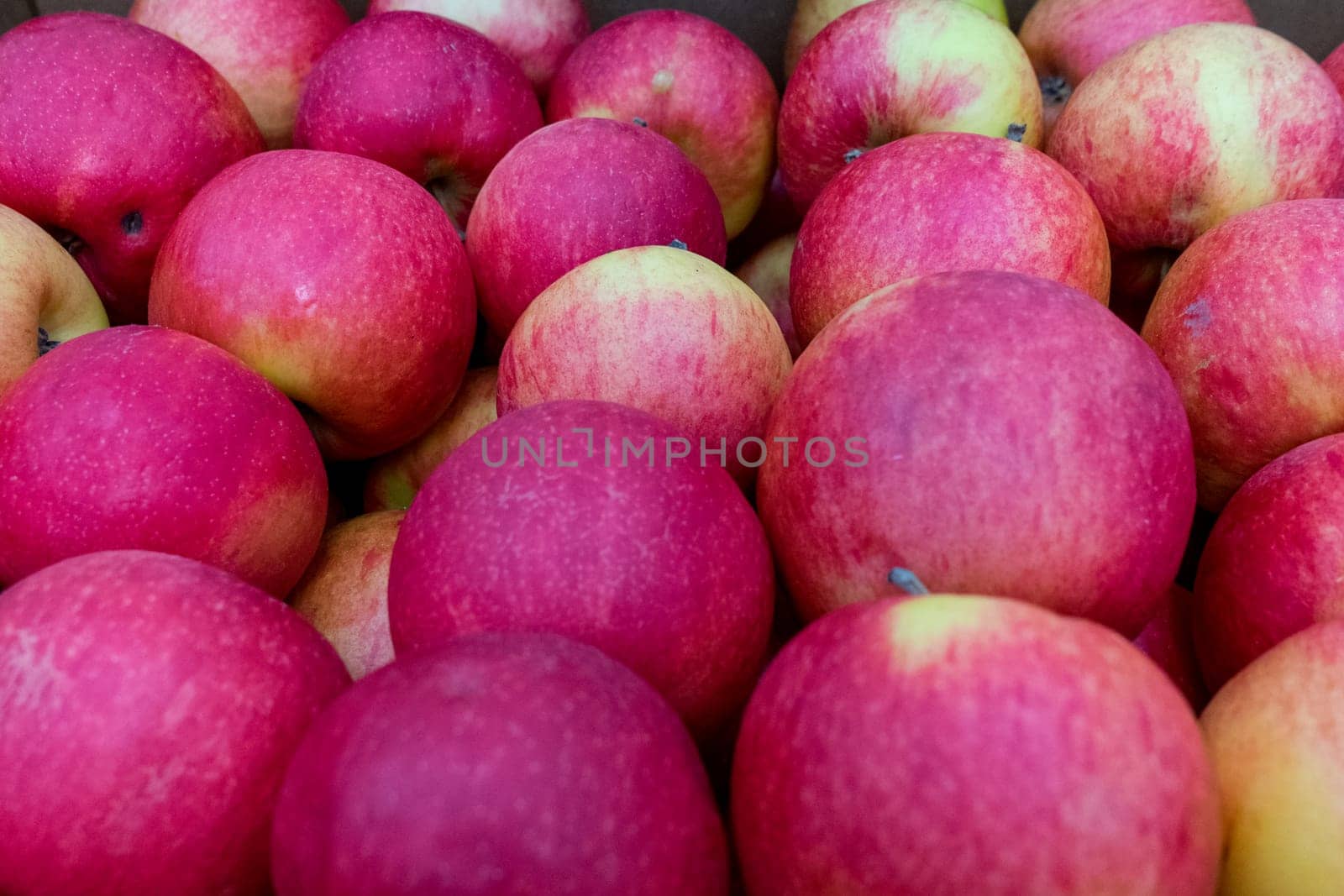 natural red ripe apples as a background.