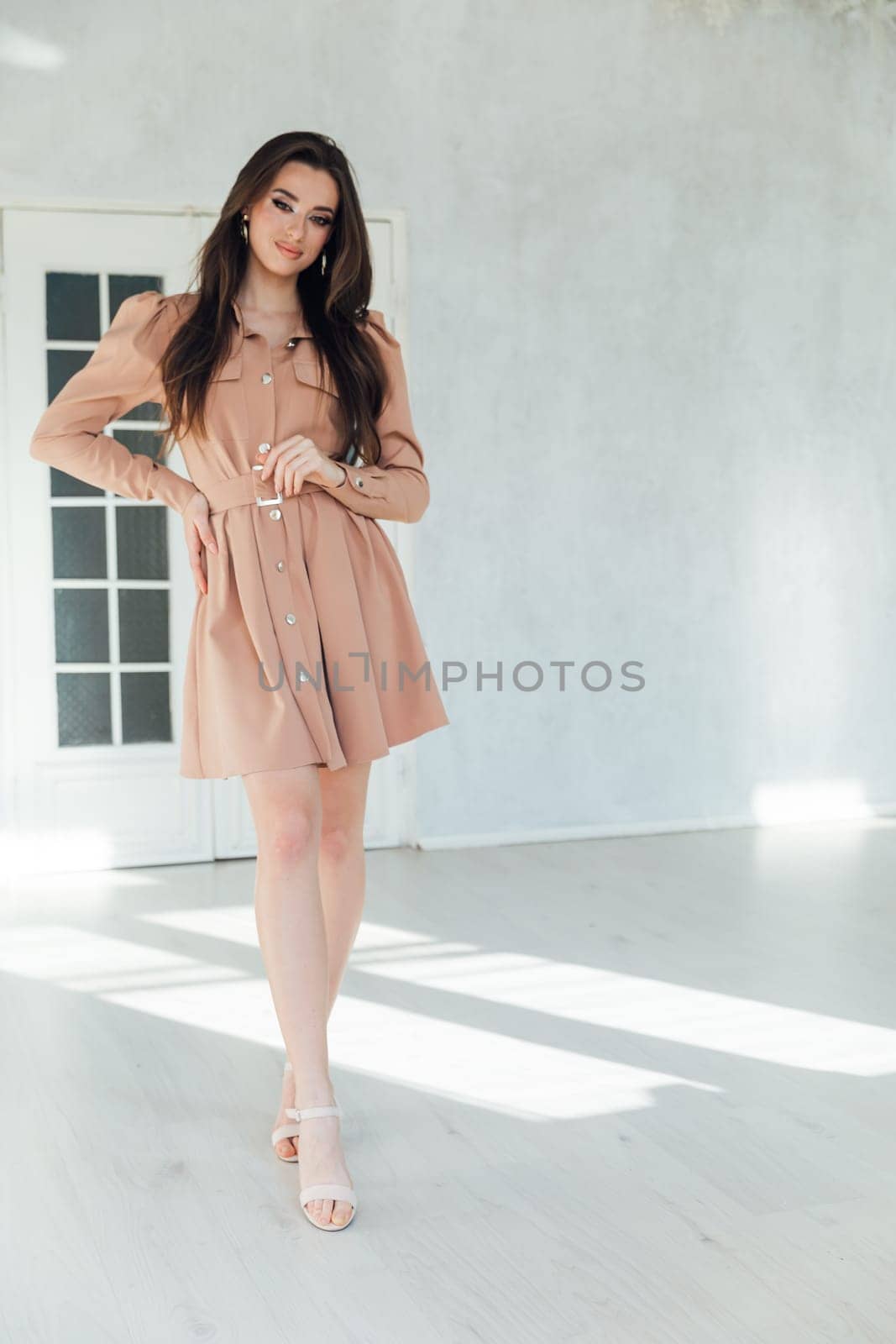 beautiful woman in a dress in a bright room on a white background by Simakov