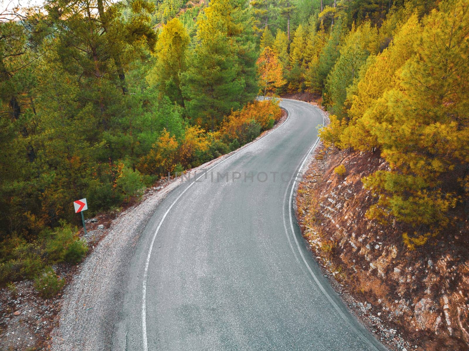 Aerial view of forest road with pine trees on both sides in autumn by Sonat