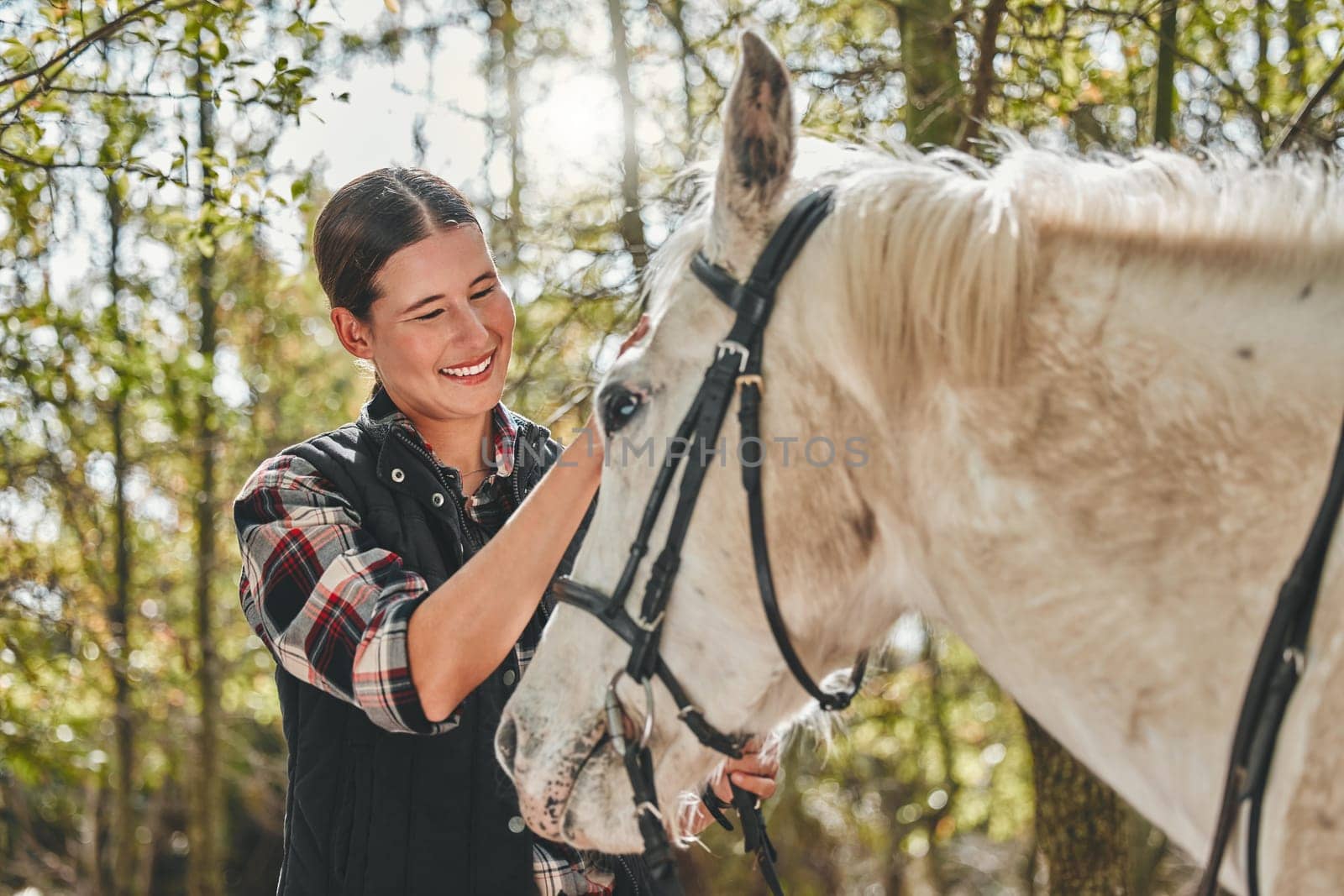 Happy woman with horse in forest, grooming in nature and love for animals, pets or dressage with trees. Equestrian sport, girl jockey or rider standing in woods for adventure, rub and smile on face. by YuriArcurs