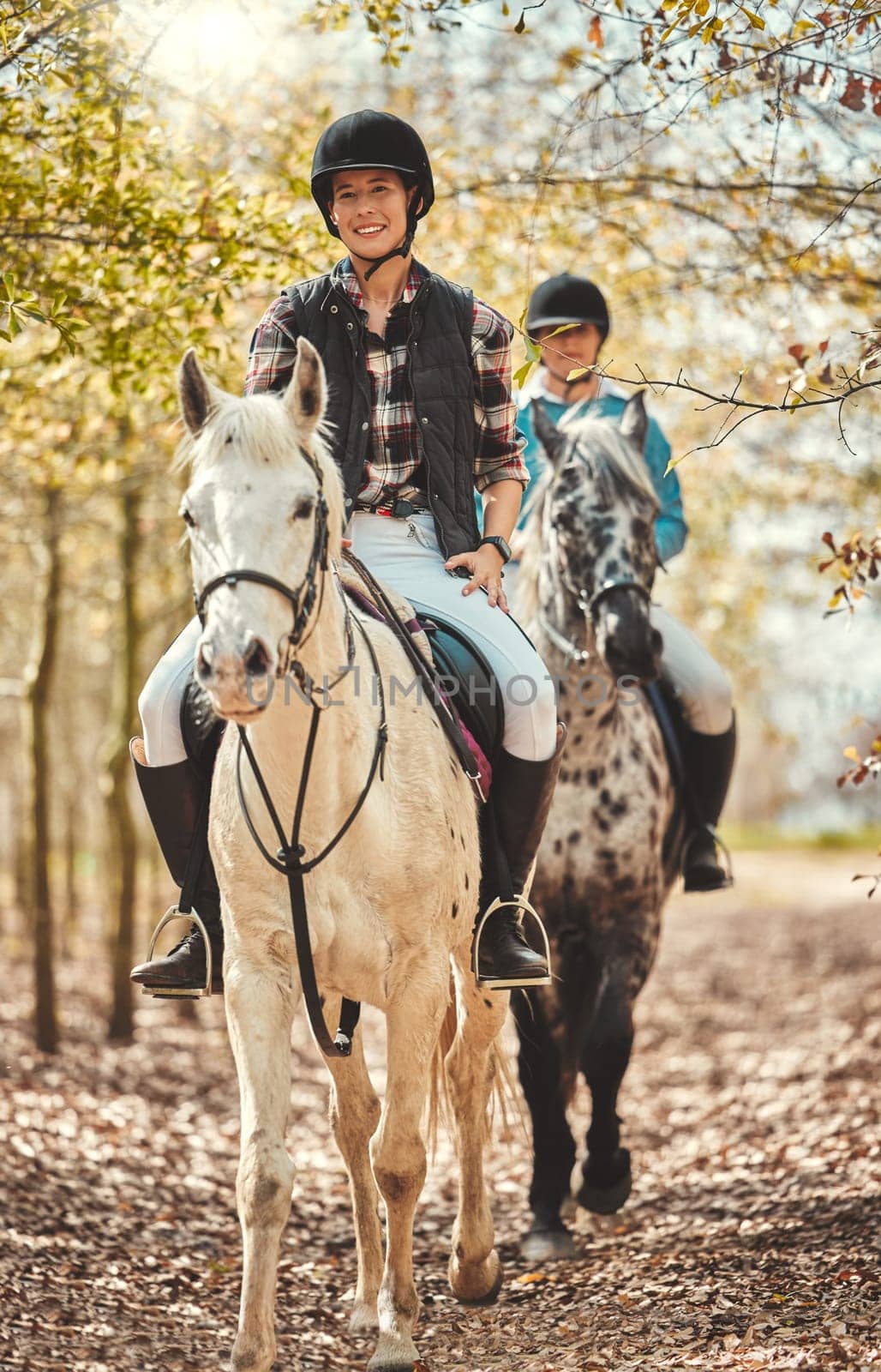 Portrait, women and horses in a forest, happiness and woods with animal care, stallion and countryside. Adventure, pets and girls with joy, activity and relax with hobby, bonding together and friends by YuriArcurs