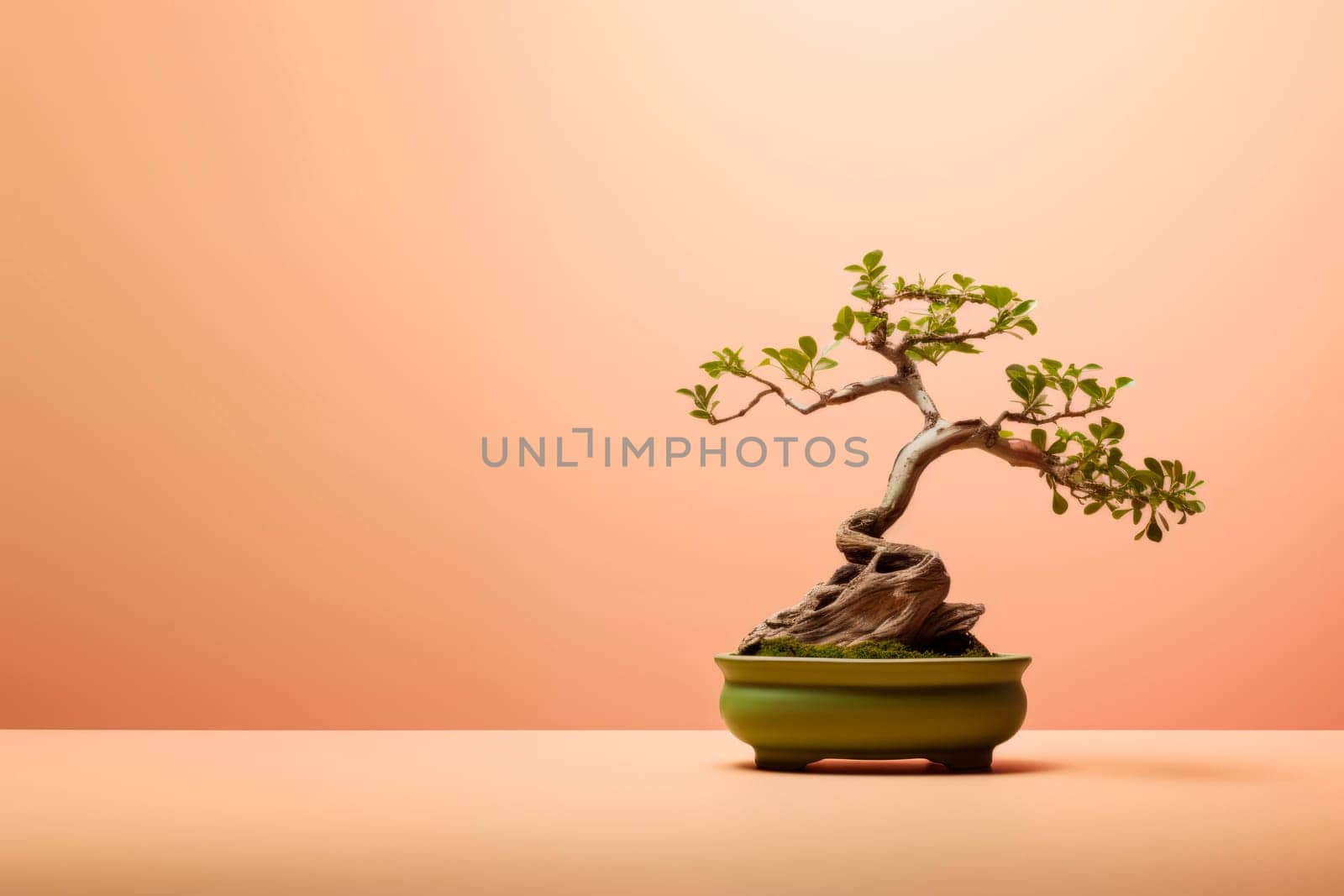 Miniature bonsai tree in a ceramic pot on a background with a copy space. Minimalism.