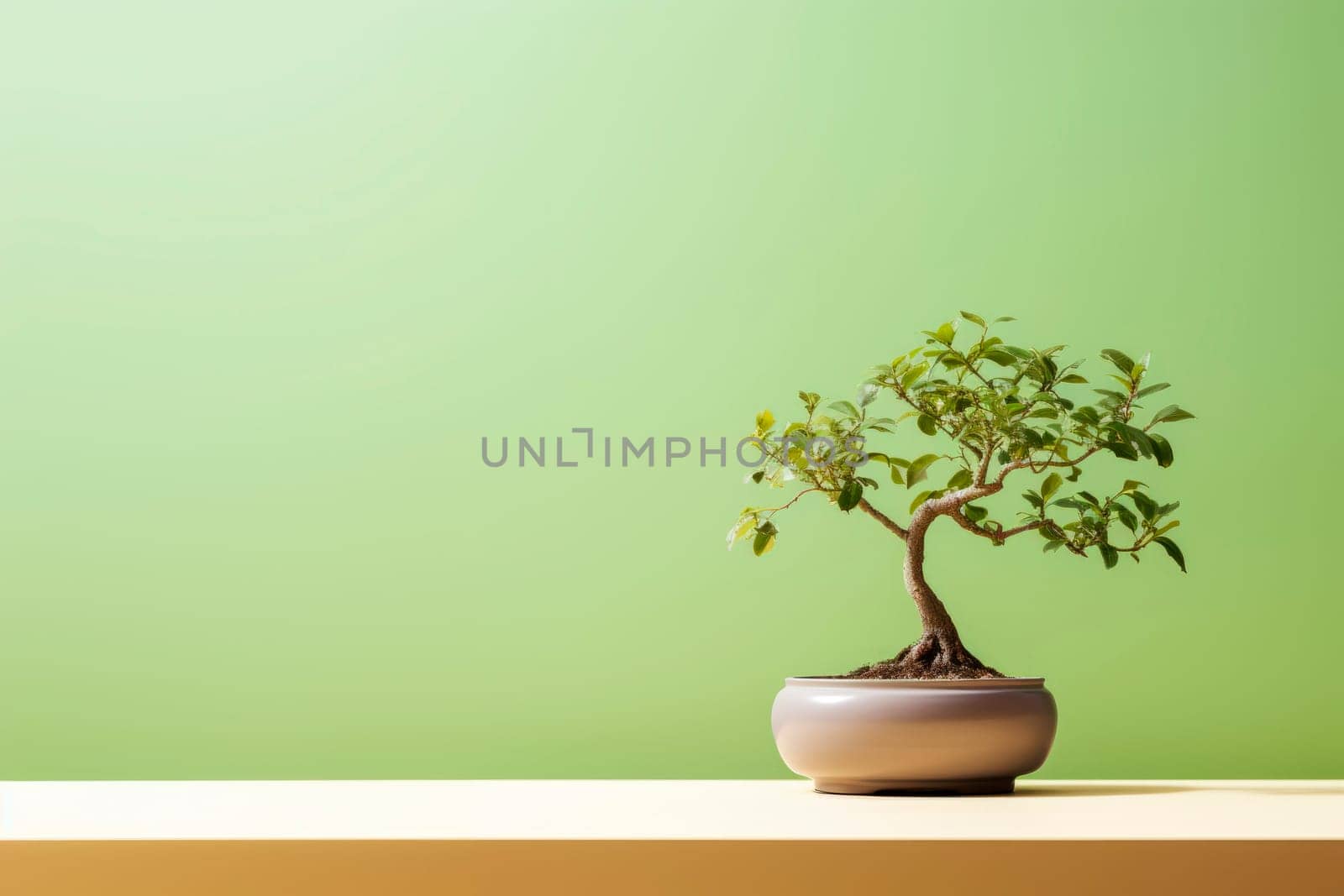 Miniature bonsai tree in a ceramic pot on a background with a copy space. by Spirina