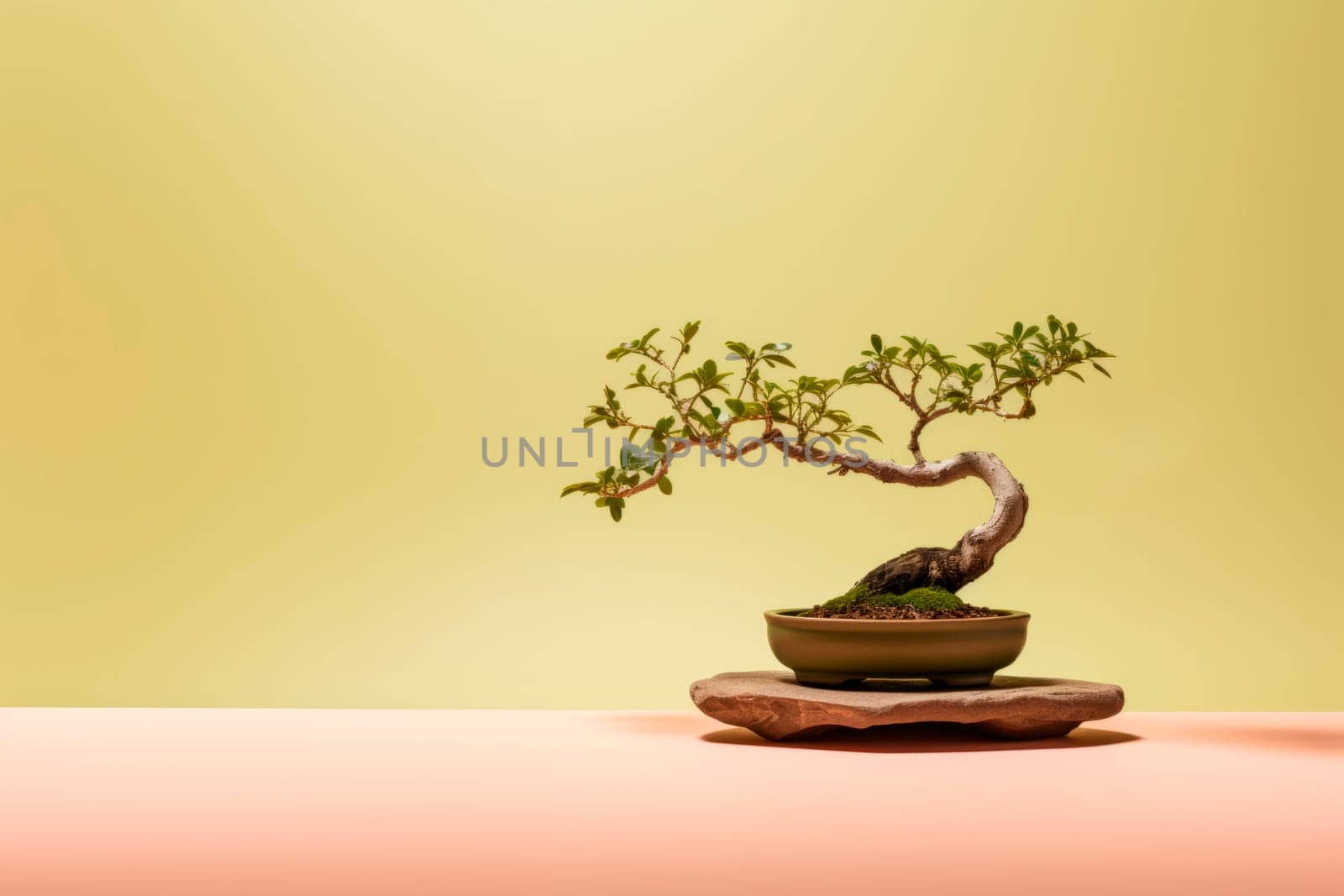 Miniature bonsai tree in a ceramic pot on a background with a copy space. by Spirina