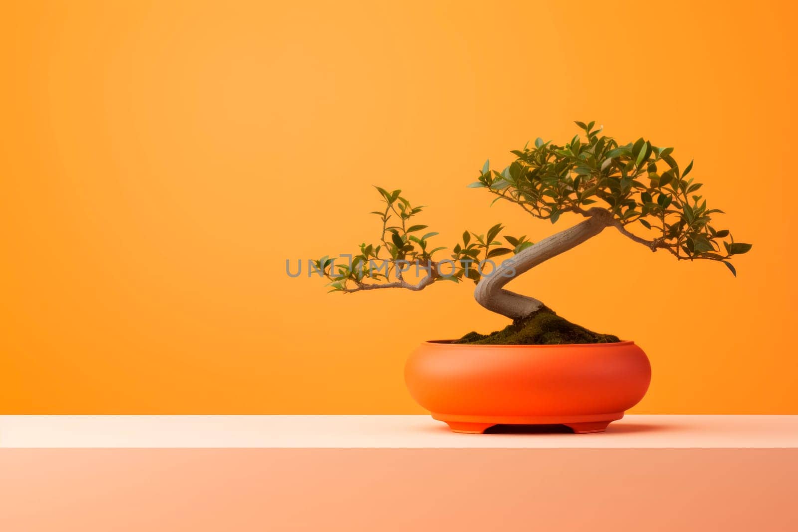 Miniature bonsai tree in a ceramic pot on a background with a copy space. Minimalism.