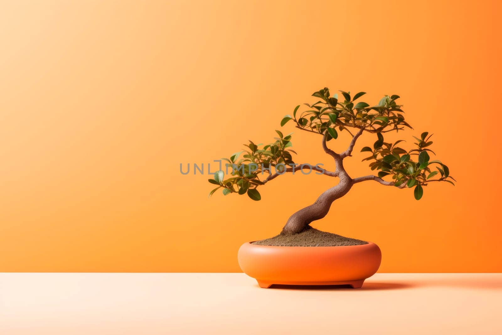 Miniature bonsai tree in a ceramic pot on a background with a copy space. by Spirina