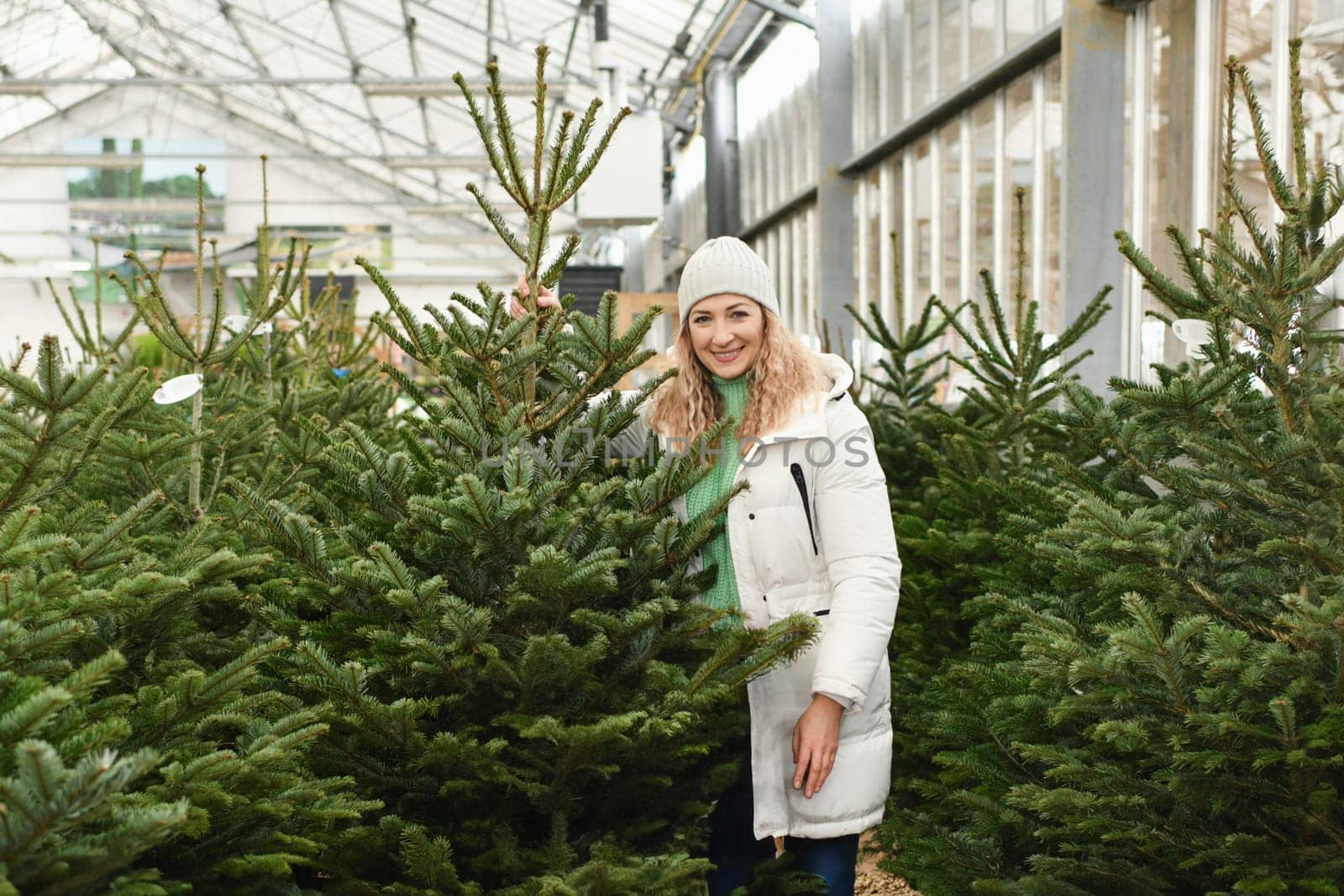 A woman buying a Christmas norman tree in a shop by Godi