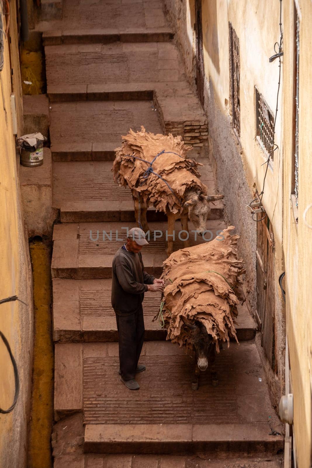 A donkeys takes dried leather from a tannery in the medina of Fes, Morocco