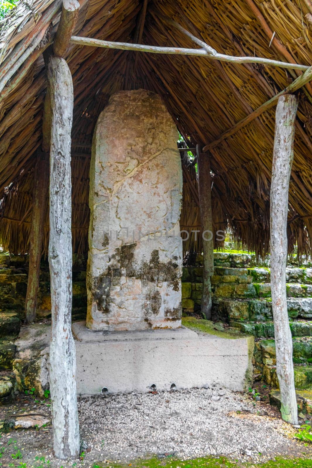 Sign fonts panel board and information at Coba Maya Ruins the ancient buildings and pyramids in the tropical forest jungle in Coba Municipality Tulum Quintana Roo Mexico.