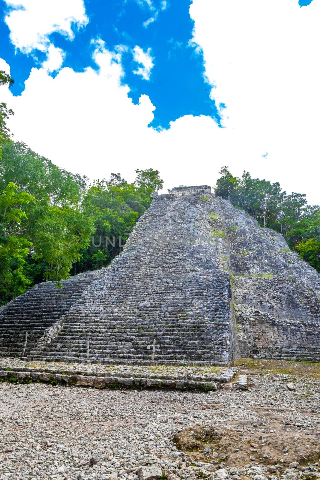 Coba Maya Ruins Nohoch Mul pyramid in tropical jungle Mexico. by Arkadij