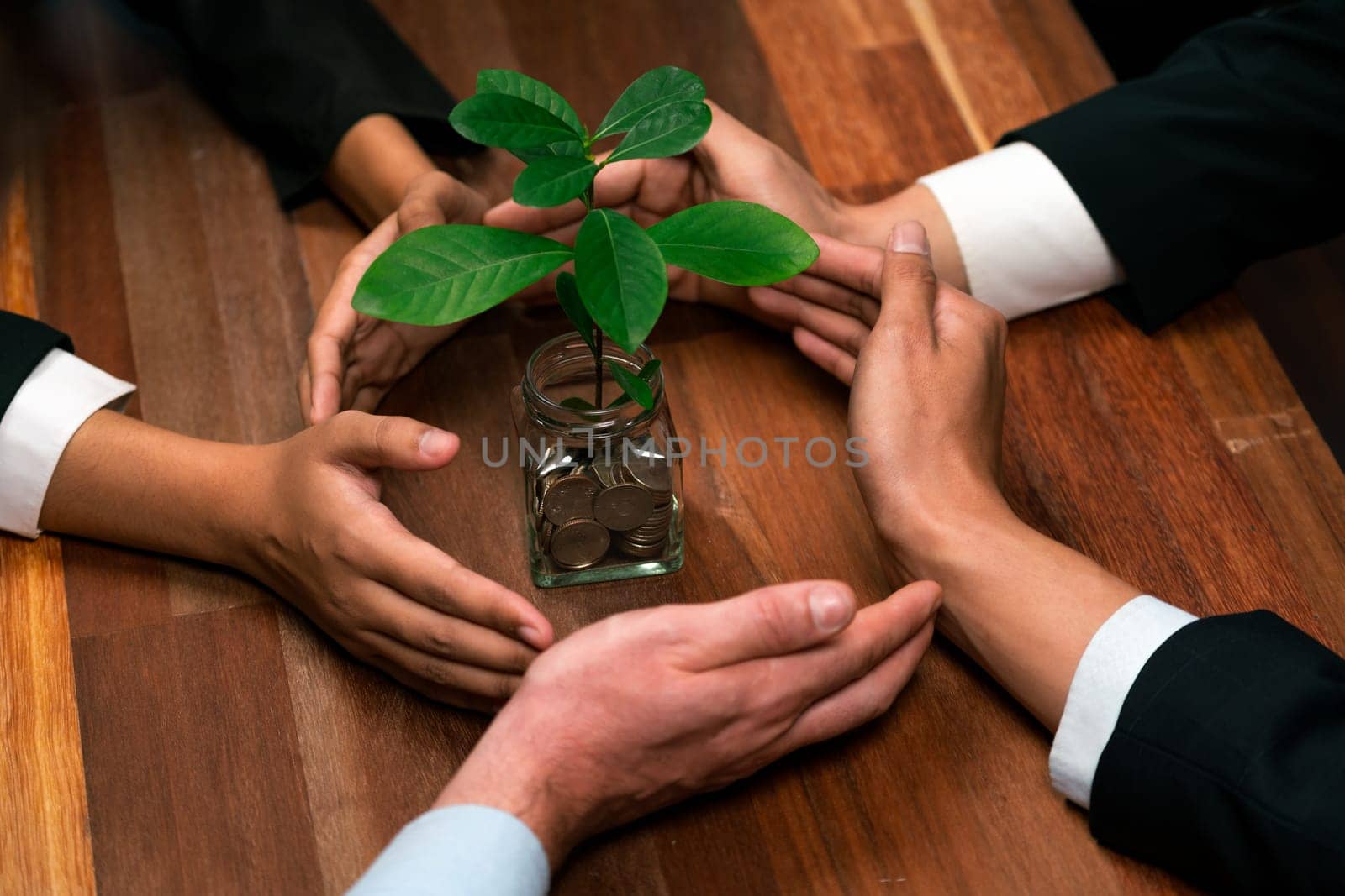 Business people holding money savings jar together in synergy filled with coin and growing plant for sustainable financial for retirement or eco subsidy investment for environment protection. Quaint