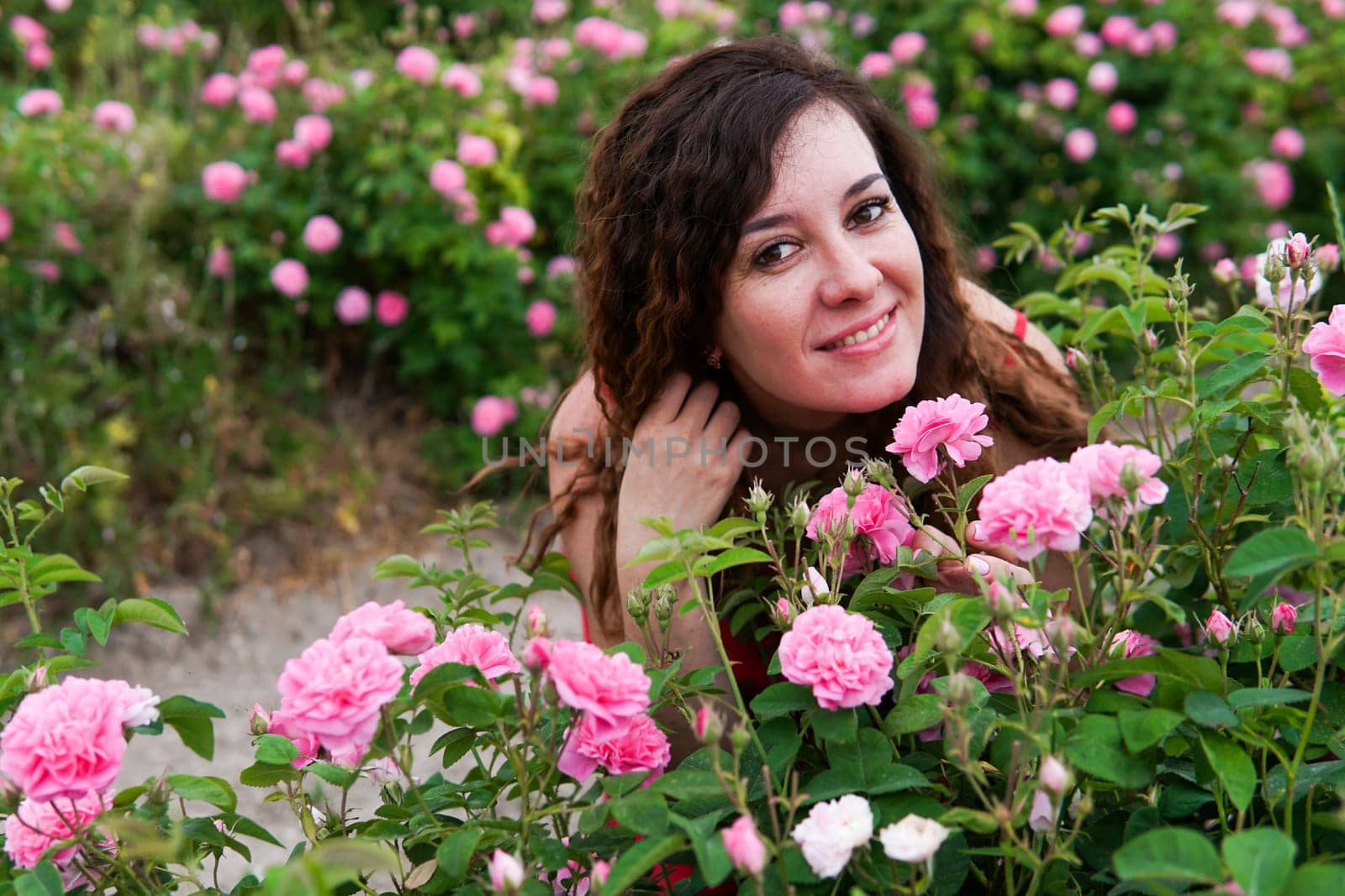 Beautiful woman in red dress on a field of blossoming roses by Simakov