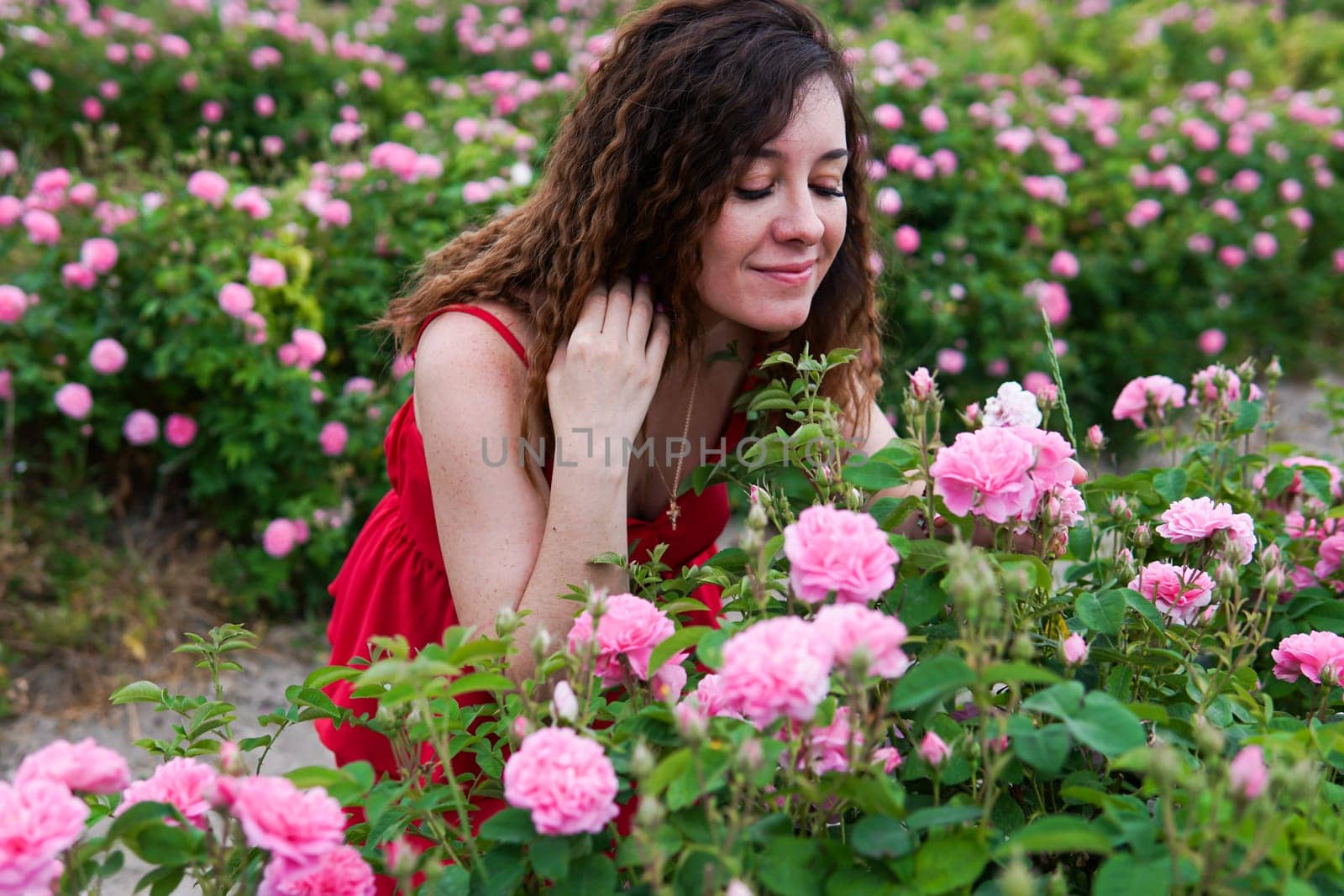 Beautiful woman in dress on a field of blossoming roses