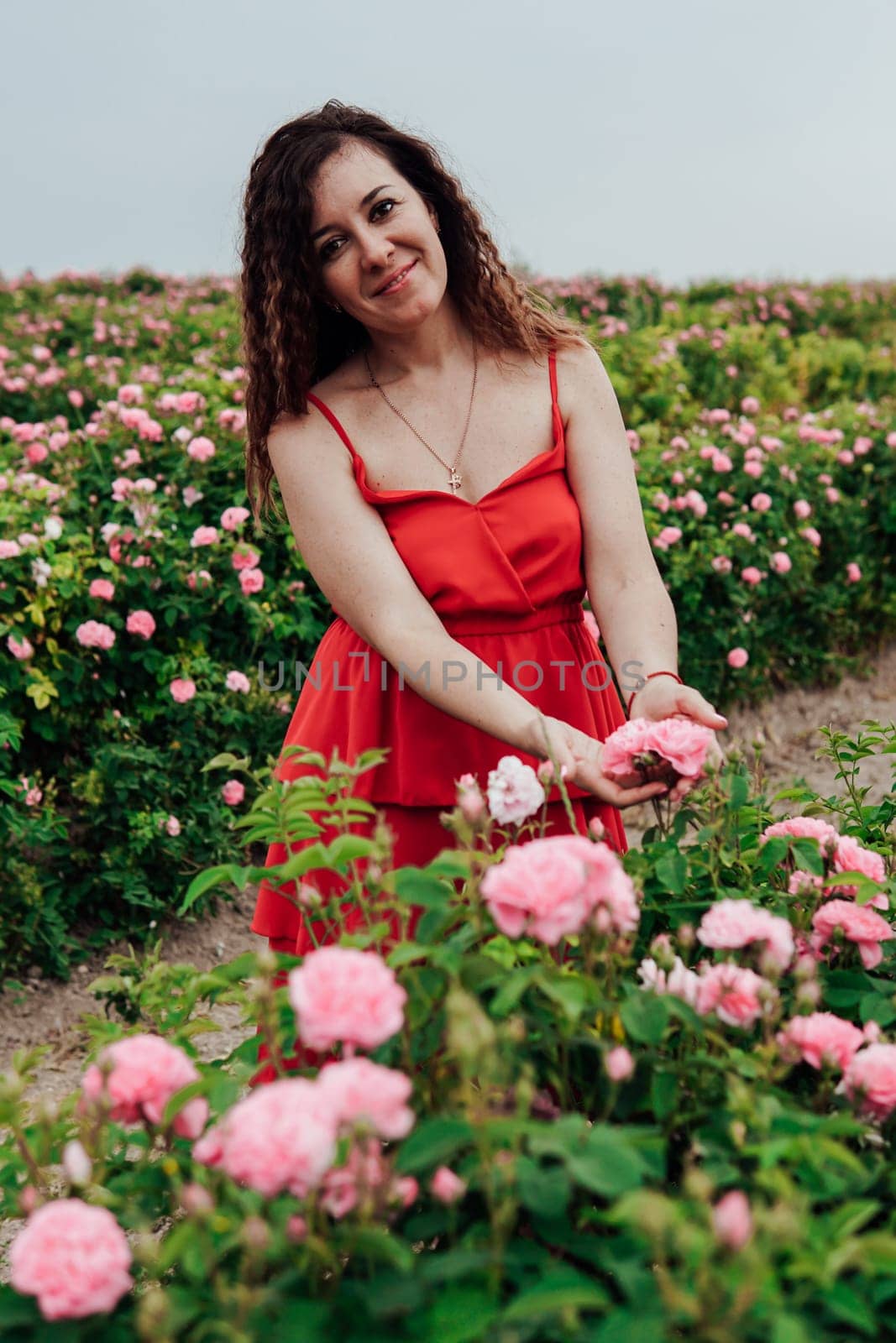 Beautiful woman in red dress on a field of blossoming roses by Simakov