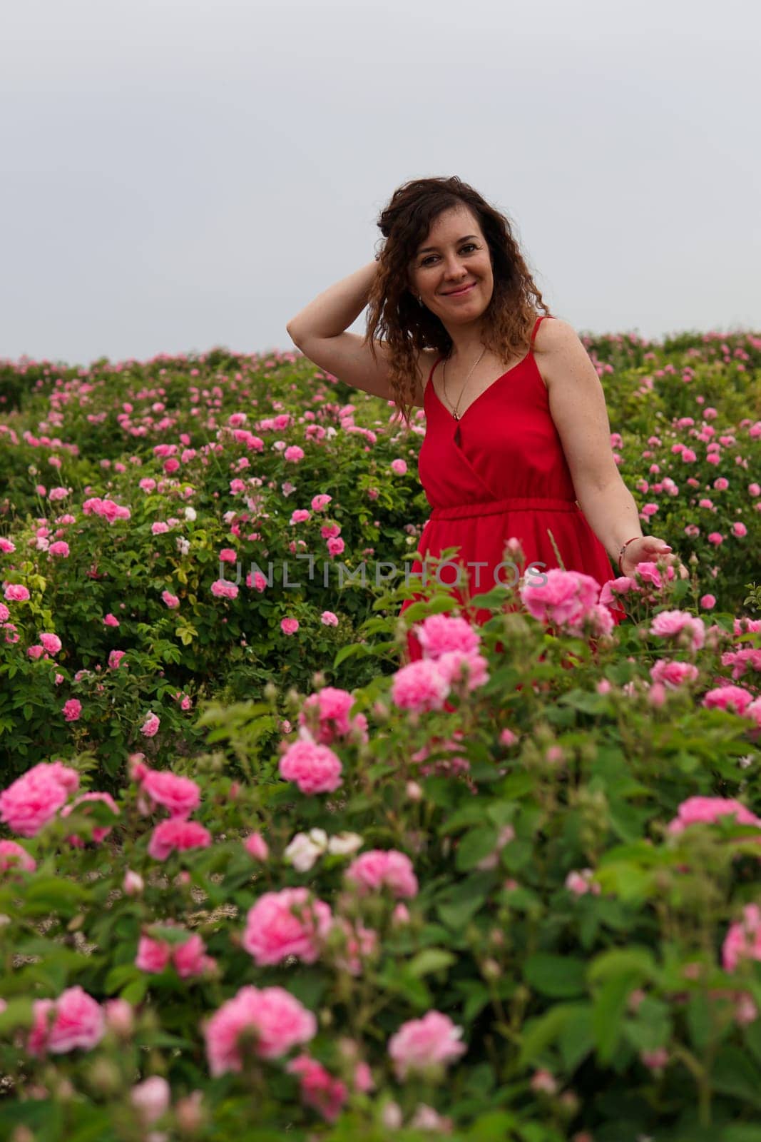Beautiful woman in red dress on a field of blossoming roses by Simakov