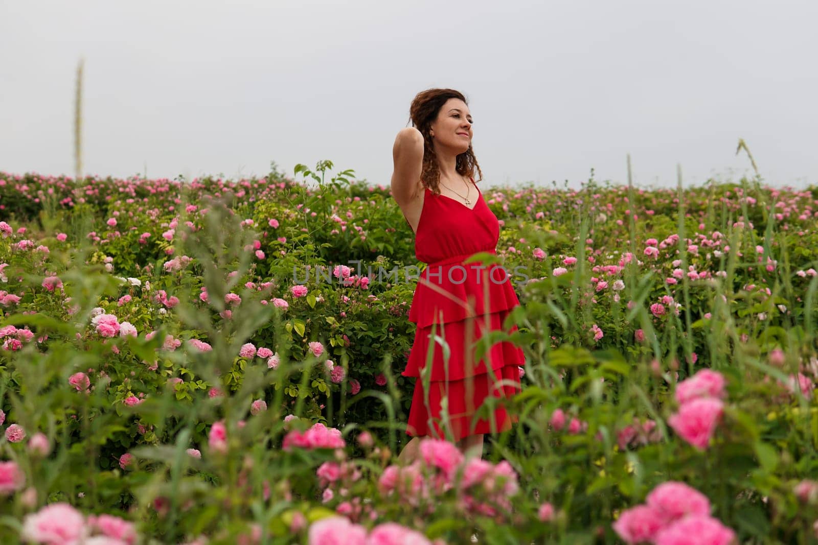 Beautiful woman in dress on a field of blossoming roses