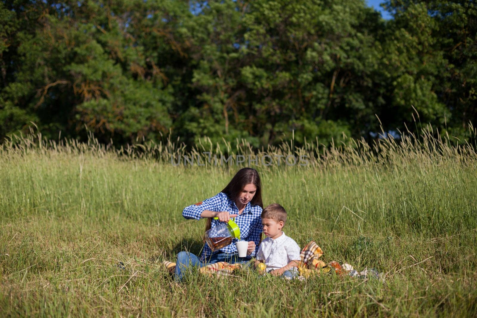 Mom and son eat in park picnic in nature family by Simakov