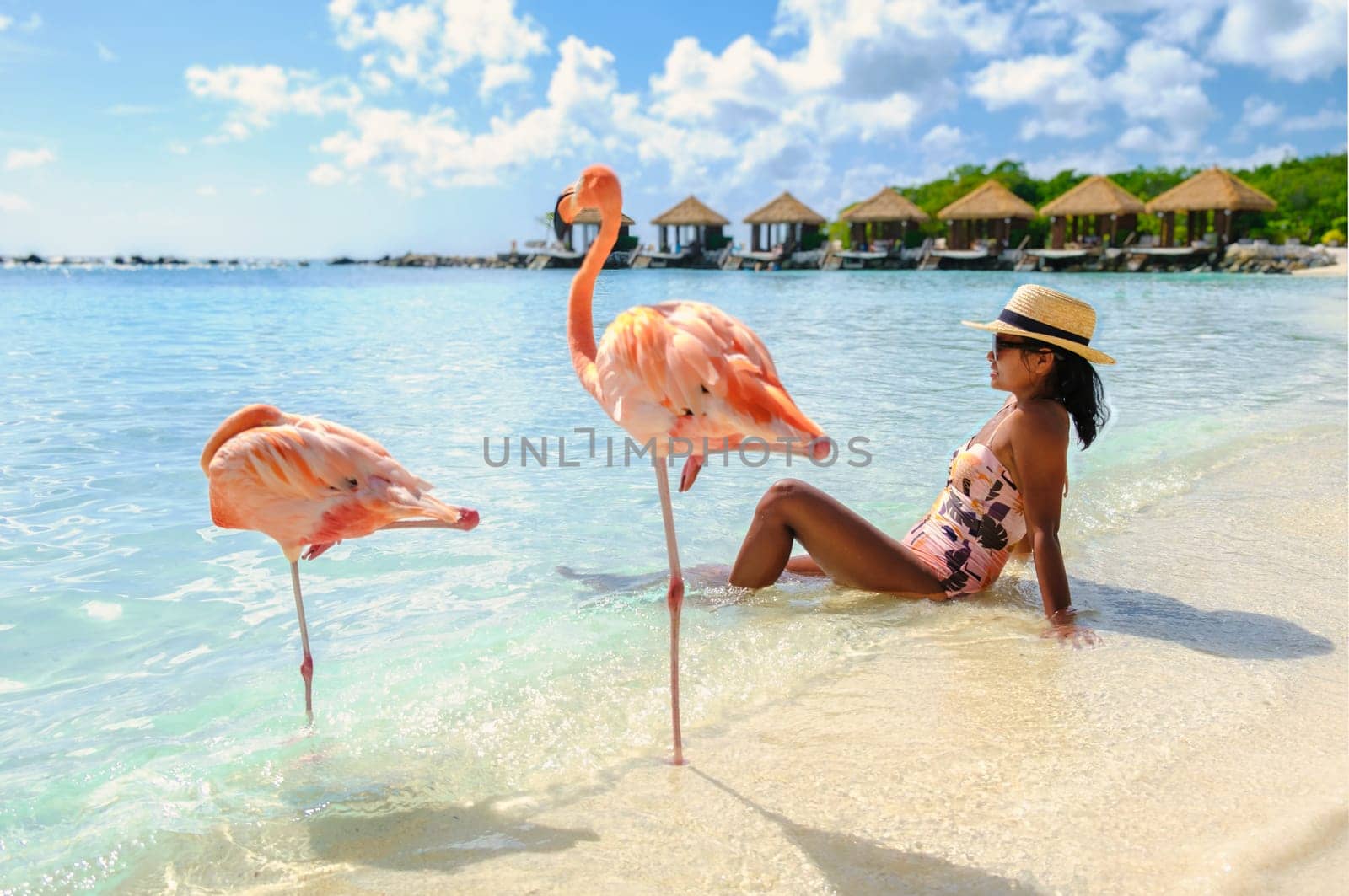 Asian women on the beach with pink flamingos at Aruba, flamingo at the beach in Aruba Island Caribbean. woman in bikini relaxing on the beach during vacation