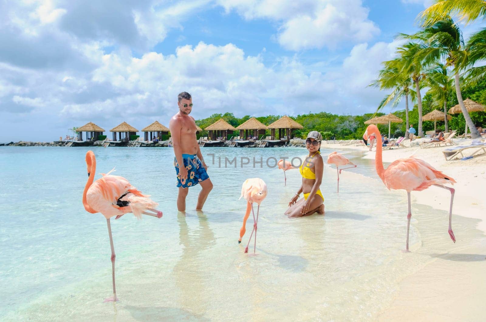 a couple of men and women on the beach with pink flamingos at Aruba Island Caribbean on a sunny day